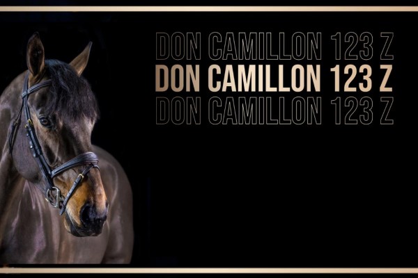 Don Camillon 123 Z