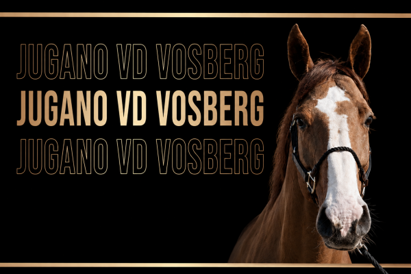 JUGANO V/D VOSBERG