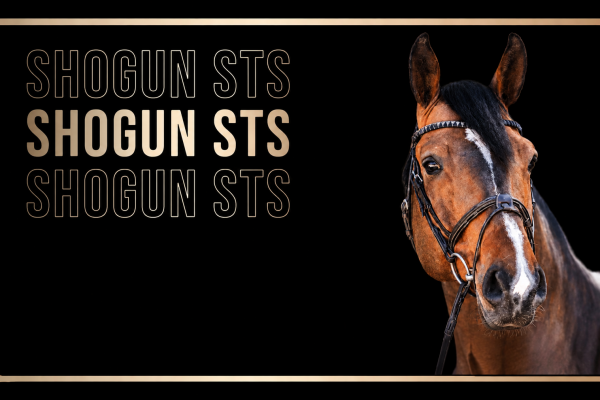 Shogun STS