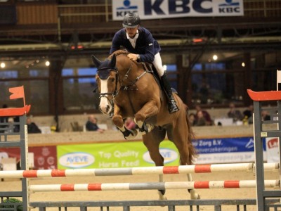 De Flor 111Z Winner of the Finals 4 years old Approved Stallions