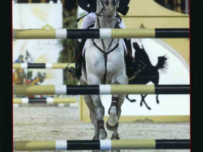 C.S.I. Abu Dhabi - 2012