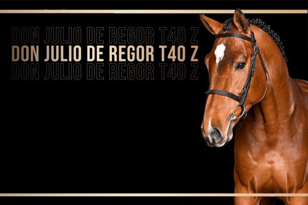 Don Julio de Regor T40 Z - hero foto